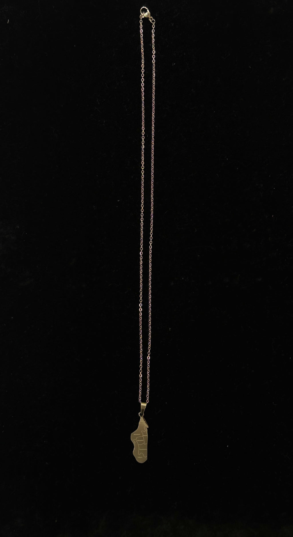 Pendentif carte de Madagascar en acier inoxydable