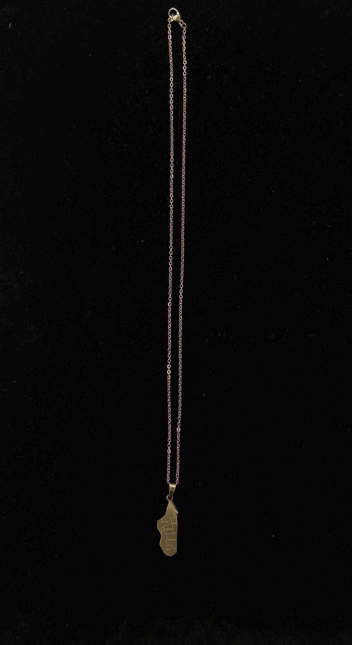 Pendentif carte de Madagascar en acier inoxydable