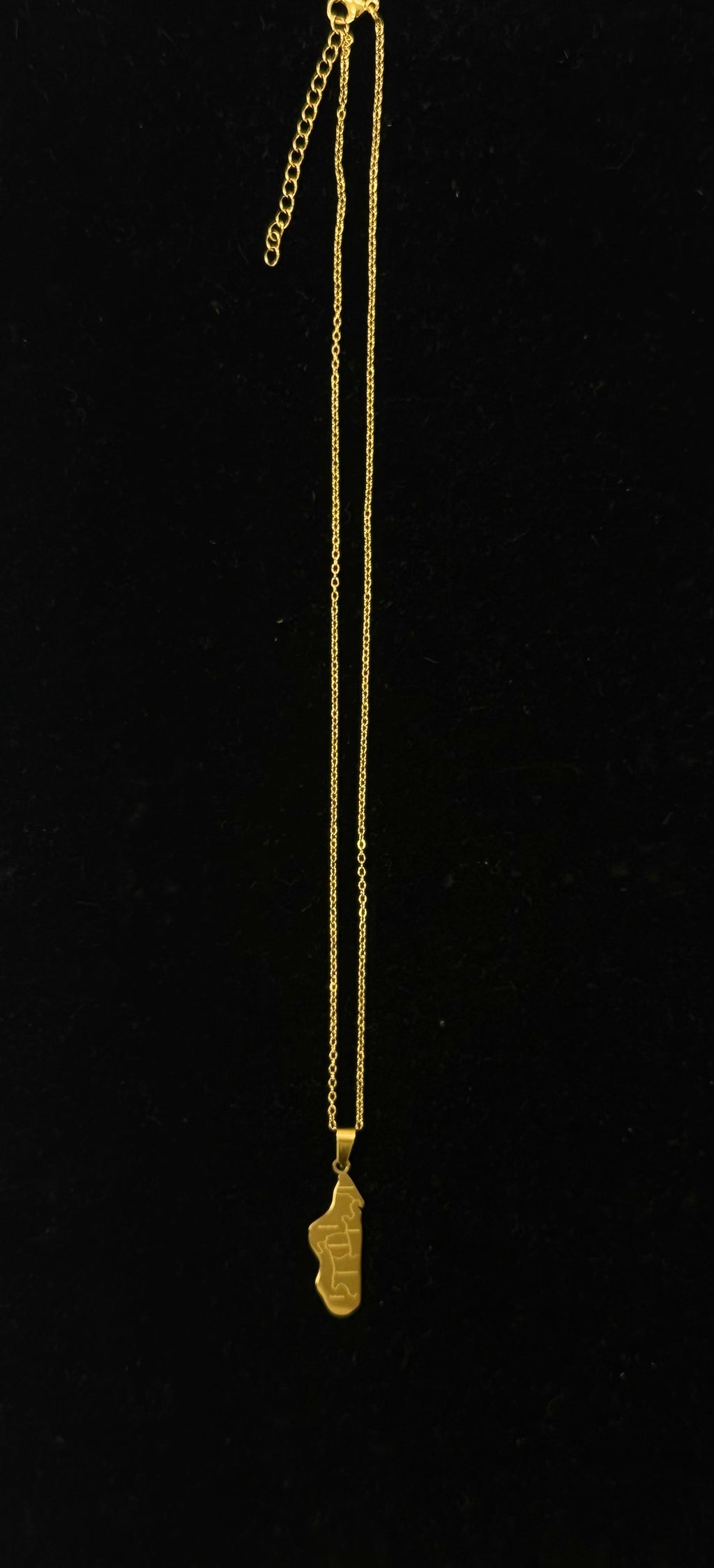 Pendentif carte de Madagascar en acier inoxydable