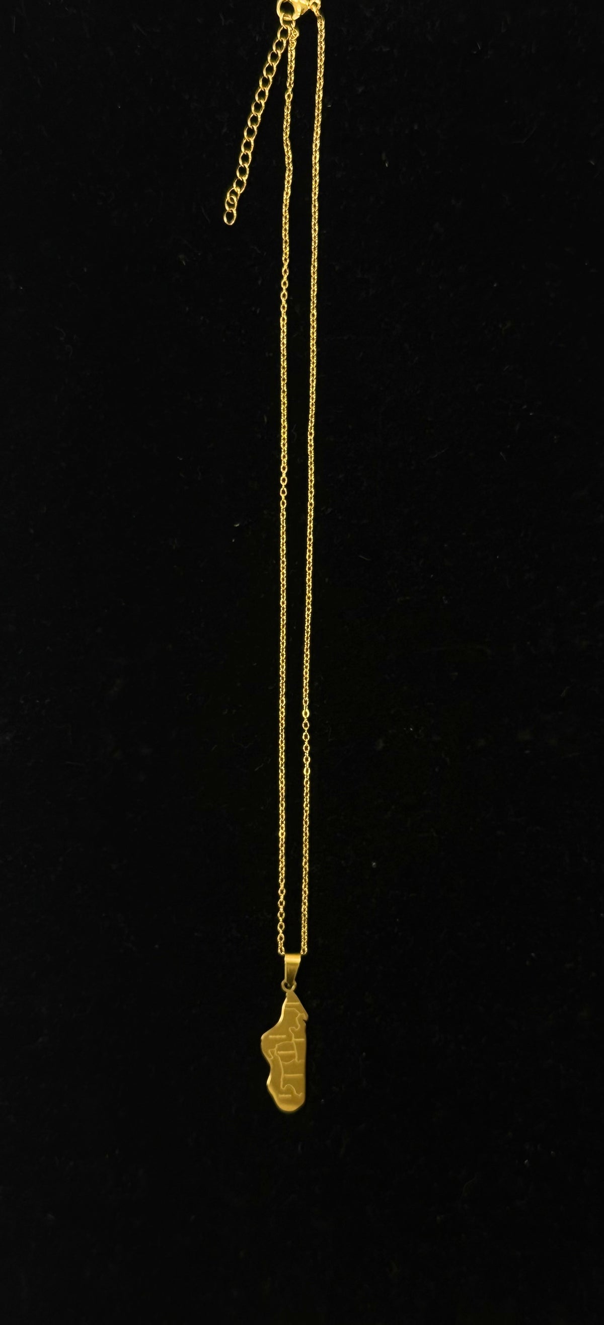 Pendentif carte de Madagascar en acier inoxydable