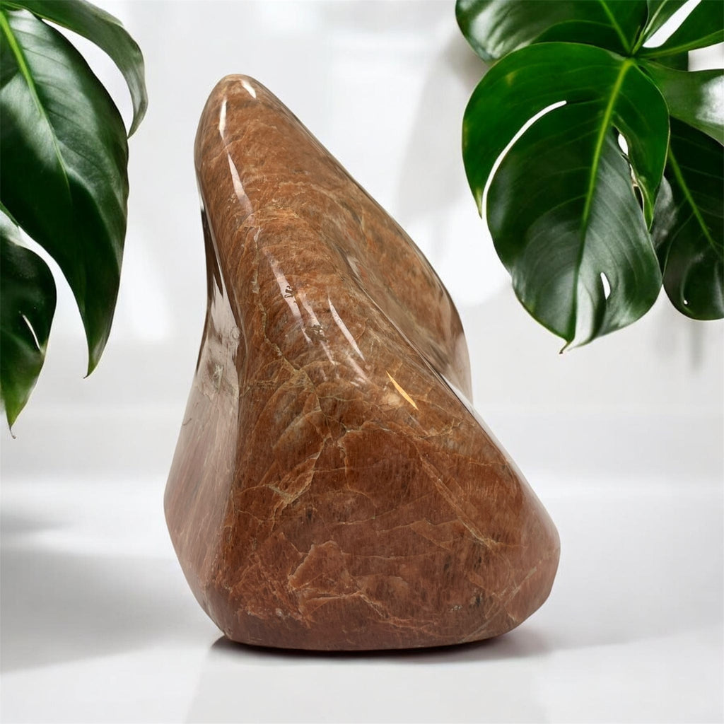 Pierre de lune brune polie n°1