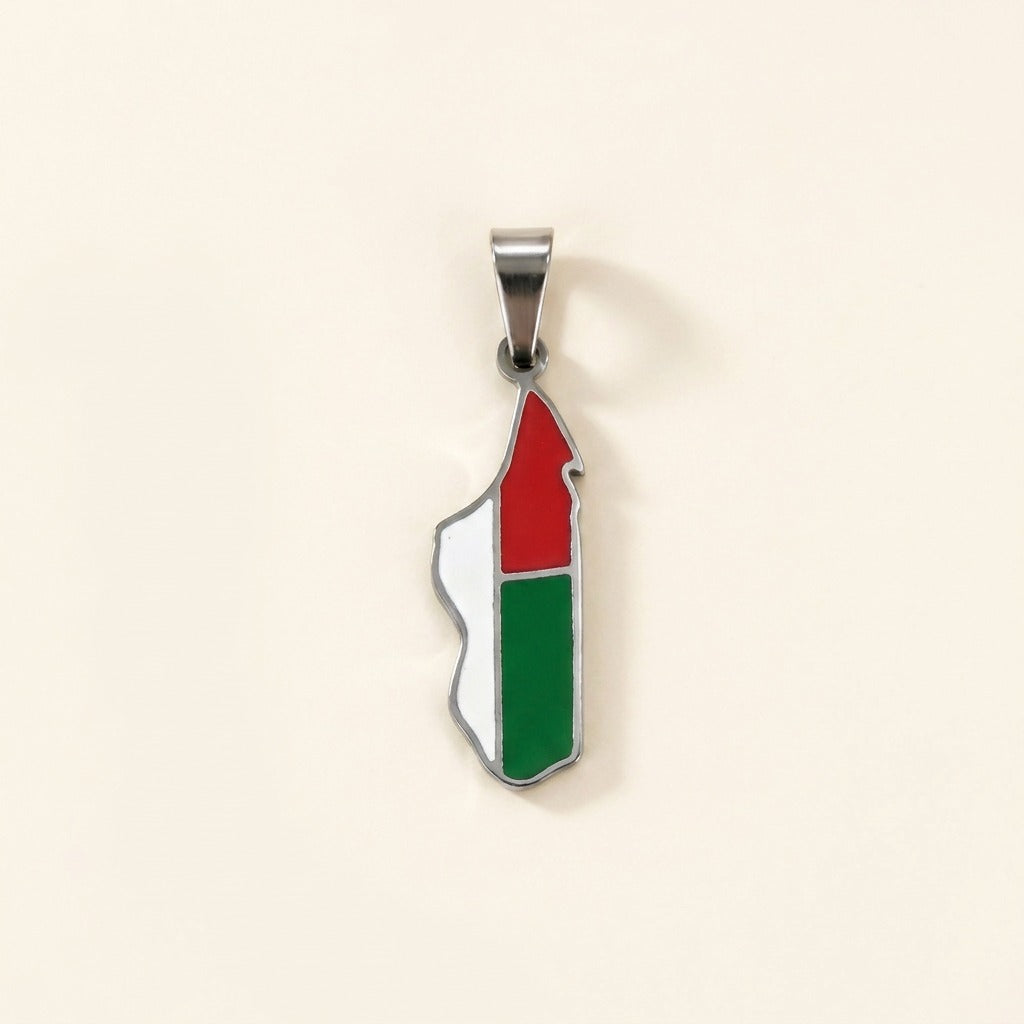 Pendentif carte de Madagascar colorée en acier inoxydable, argenté