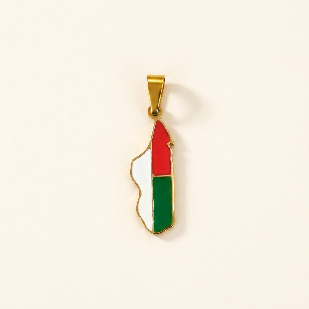 Pendentif carte de Madagascar colorée en acier inoxydable, doré